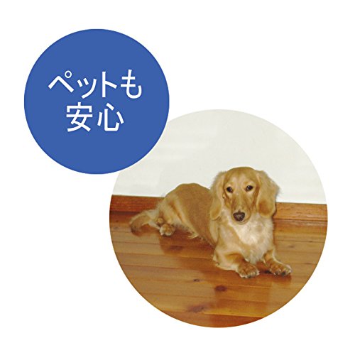 Amazon.co.jp: ディノス 掃除 お手入れ用品 手入れ リフォーム用品