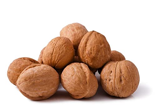 Image of In Shell Walnuts (1 Lbs.) - Large Natural California Walnuts - Great Source of Omega 3 - Fresh New Crop - Bursting with Flavor - Farm Fresh Nuts Brand