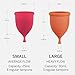Menstrual Cups with Sterilizer - Ranked 1 for Most Comfortable Soft Reusable Period Cup - Kills 99.9% of Germs with Cleaner Steamer - Wash Your Cup in 3 Minutes! - Compact Sanitizer Kit