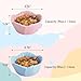 VanEnjoy 2 Pack Ceramic Guinea Pig Food Bowl Cute Flower Hamster Cage Accessories for Chinchilla Hedgehog Pink and Blue Small Animal Water Dish