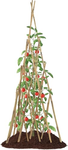 HTWNK Garden Bamboo Obelisk Plant Support for Climbing Plants Outdoor Adjustable Height 35 to 45 inches Tall Cucumber Trellis