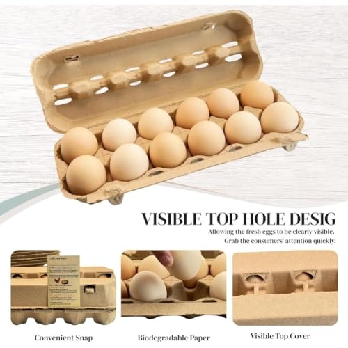 Cajas de cartón para huevos de 12 unidades con diseño ecológico anti-impactos 4
