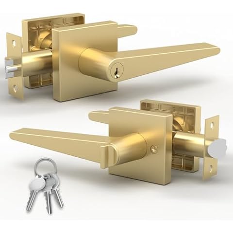 Mega Handles - SCHEIN Entrance Handle I Lever Door Lock Handle Set for Closet or French Doors I Single Side, Non-Turning I Fits All Standard Door Sizes I Screws Included - Satin Brass (1 Pack) Cover