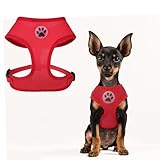 BINGPET No Pull Dog Harness - All Weather Mesh Step-in Vest for Small Dogs, Breathable Mesh Puppy & Cat Harness, Red, X-Small