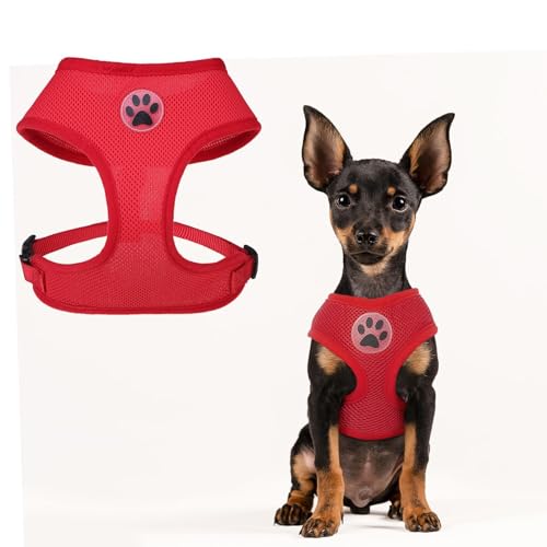 BINGPET No Pull Dog Harness - All Weather Mesh Step-in Vest for Small Dogs, Breathable Mesh Puppy & Cat Harness, Red, X-Small