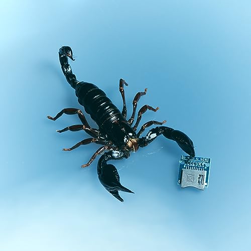 Miguel feat. Lil Yachty