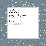 Cover of After the Race