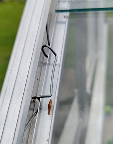 100 GAO Flora®, morsetti per serra, con maggiore