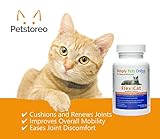 Simply Pets Online FlexiCat Joint Supplement for Cats – Vet-Formulated Cat Joint Support & Mobility – Extra Green Lipped Mussel & Glucosamine – 60 Sprinkle Capsules - For Senior Cats - Image 4