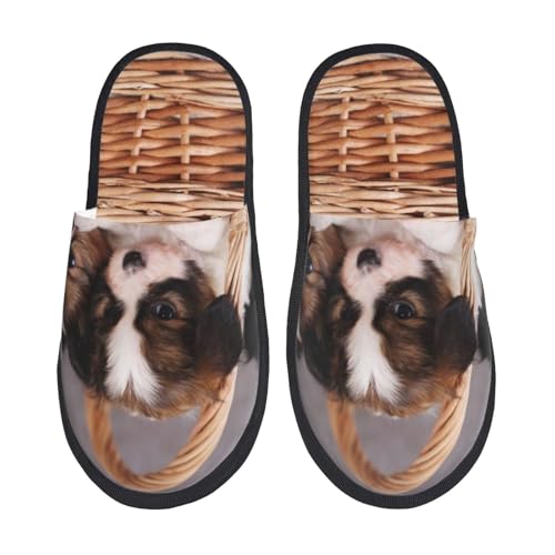 [JECASS]  lC v[g Aj Xbp  Y 􂦂 gC qp p E Xbpjp LN^[ ObY  fB[X ~ 킢 qpm