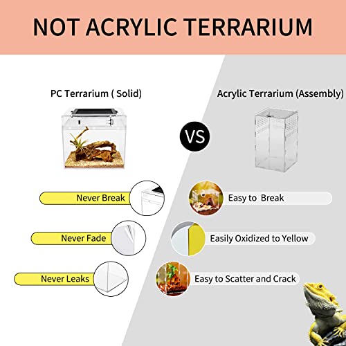Reptile Growth RG-P01 US Mini Reptile Terrarium,8 Inch X 8"X 8 Inch Reptile Tank With Full View Visually Appealing,For Insect,Fish,Tarantula,Hermit Crab,Jumping Spider,Iguana,Tortoise,Leopard Gecko,Frog,Bearded Dragon thumb #2