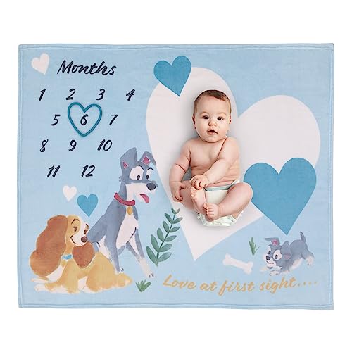 Image of NoJo Disney Lady & The Tramp Blue, White, and Gold Love at First Sight Super Soft Photo Op Milestone Baby Blanket