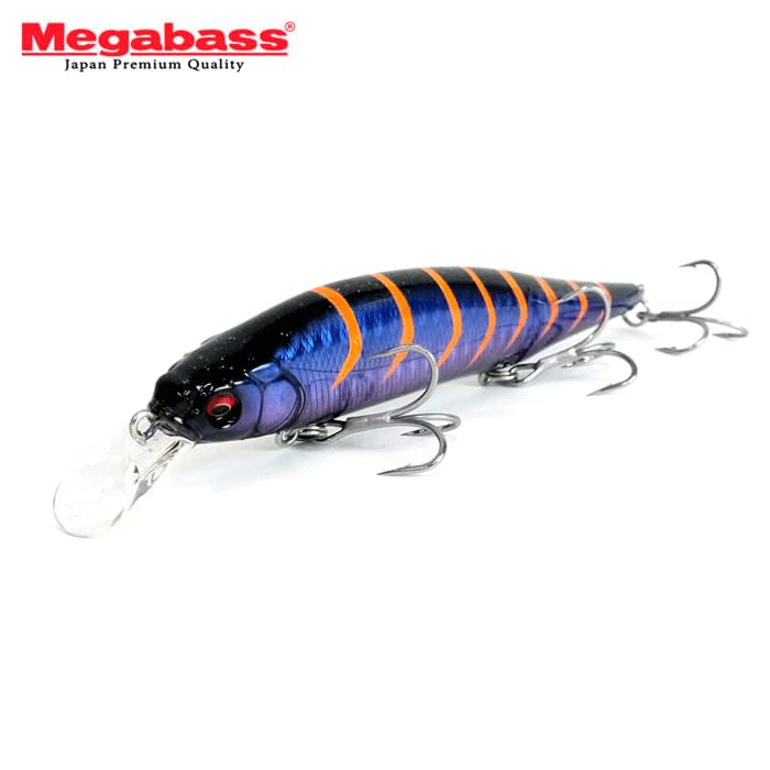 Amazon | メガバス X-80 マグナム 有頂天カラー 02 BPコンスタンギーゴ