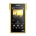 SONY NW-WM1Z  Premium Signature Series Hi-Res Walkman (International version/Seller Warranty)