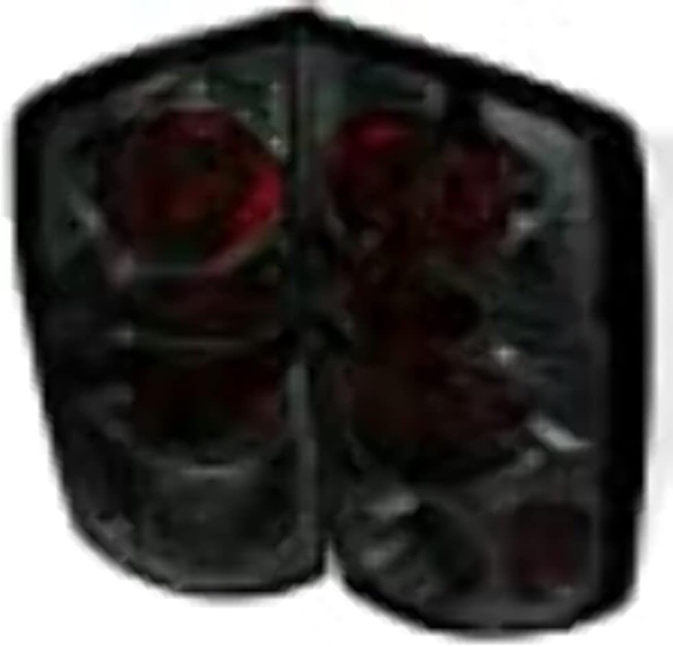 Spyder Auto 5002600 Euro Style Tail Lights Chrome/Smoked