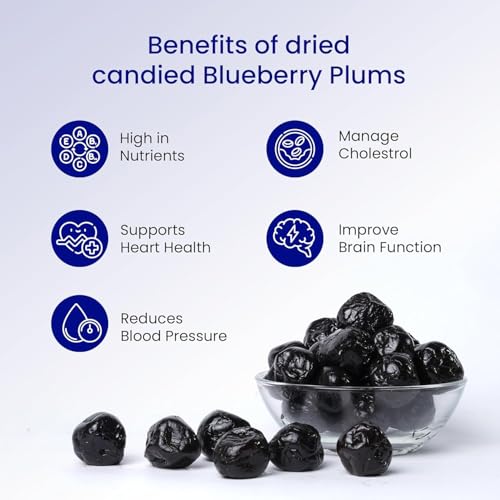 Image of FreshoCartz Organic Dried Blueberry Plum 500GM | | High in Antioxidants & Fiber | Healthy Snack | Blueberry Dried Superfood | Premium Dry Fruits Blueberries