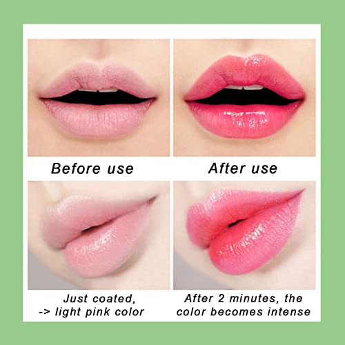 5 Pack Aloe Vera Color Changing Lipstick, Long Lasting Moisturizing Temperature Color Changing Aloe Vera Lip Gloss Lip Balm, Green Lipstick That Turns Pink Magic Lipstick Makeup (Aloe Vera Lipstick) #TOP4