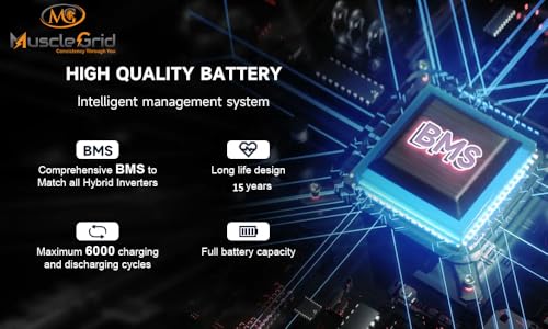 Image of MuscleGrid Lithium Battery, 120AH, Heavy Duty, LCD Display, 6000 Life Cycles, 50 Years Life, Black With Mobile App Monitoring (48V FULLY SMART WITH JK BMS)