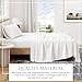 Great Bay Home Cotton Jersey Knit King Sheet Set - Ultra-Soft, Stretchy, Heathered Melange Bed Sheets - Cozy, Soft T-Shirt Sheet & Pillowcase Set (Winter White)