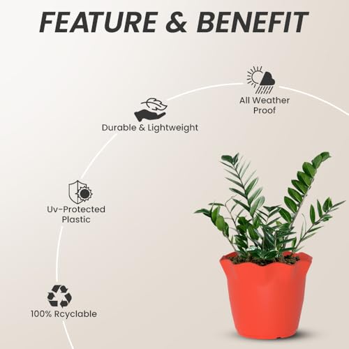 Image of YUCCABE ITALIA SHERA 4 Inch Plastic Flower Pot 6 Piece Set of Unbreakable Round Shape Planter for Home Garden Seedling, Indoor and Outdoor (Red)