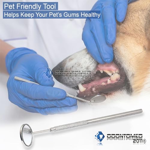 OdontoMed2011® 10 Pieces Dental Mouth Mirror #5 with Handle Stainless Steel
