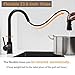Hoimpro Commercial High-Arc Single Handle Kitchen Sink Faucet with Pull Out Sprayer,Rv Kitchen Faucet with Pull Down Sprayer,3 Function Touch on Laundry Water Faucet, Brass/Matte Black(1 or 3 Hole)