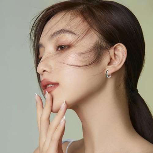 Hoop Earrings 925 Sterling Silver Round Huggie Earring Birthstone Jewelry for Women3