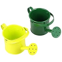 2PCS Metal Watering Can,Kids Watering Can Small Iron Watering Can Indoor Plants Sprinkling Kettle with Long Spout,Boys Girls Garden Watering Pot for Outdoor Plants or Play Time(Random Colors)