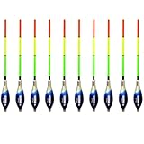 ELBFANG 10er Set Waggler Posen – Vorbebleite Angelposen für Weite Würfe – Matchposen Set für Forelle & Friedfisch – Aerodynamische Posen (2+3g, 3+4g, 4+4g)