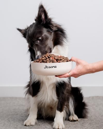 Josera Hundefutter JosiDog Adult Sensitive, 1er Pack (1 x 900 g)