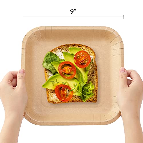Jinqiu High-End Performance Coffee Color Paper Plate, Kraft Paper Waterproof Dinner Party Paper Plate, Field Picnic Barbecue Carrying Paper Plate, Soild Disposable Dinner Plate Kraft Square 9Inch125Ct #TOP3