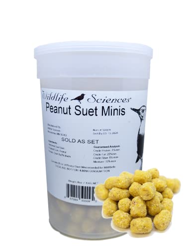 Wildlife Sciences No Melt Suet Dough Suet Minis (Peanut)