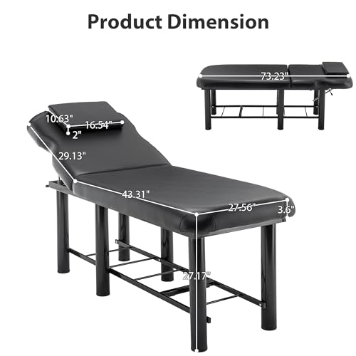 Dithoko Professional Massage Table with Backrest, Faux Leather Stationary Physical Therapy Table, Metal Frame Barber Beauty Equipment, Removable Headrest Treatment Table Salon Spa Bed, Black