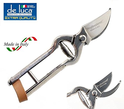 De Luca Forbice TRINCIA Pollo da Cucina 210 mm in Acciaio TEMPERATO