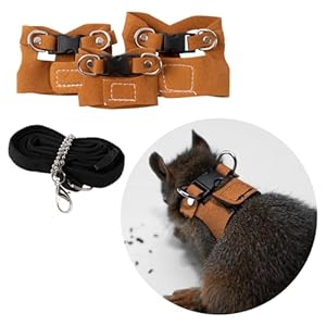 3Pcs Rat Harness and Leash, Small Animal Training Walking Vest Leash Adjustable Traction Rope Strap for Squirrel Gerbil Chinchilla Rat (Brown)