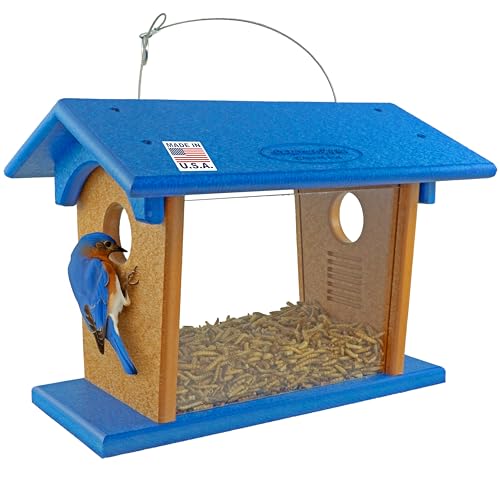 DutchCrafters Hanging Bluebird Feeder for Mealworms with 1 1/2' Entrance Hole, Outdoor Live or Dried Mealworm Feeder for Bluebirds - Amish USA Made (Blue & Cedar)