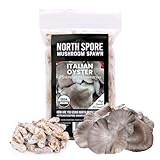 North Spore Tapones de hongos de ostra italiana orgánica (100 unidades) para troncos, de alta calidad, hechos a mano en Maine, Estados Unidos, cultiva hongos gourmet al aire libre en troncos
