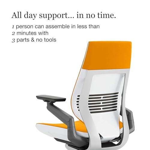 Steelcase Leap V2 ergonomic chair