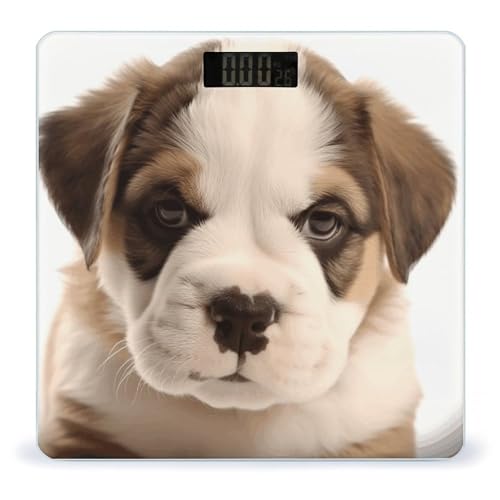 Báscula digital para baño con vidrio templado 10.2 in