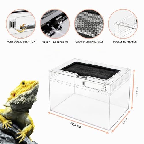 Vivarium pour léopard gecko et tarentule avec structure transparente PC