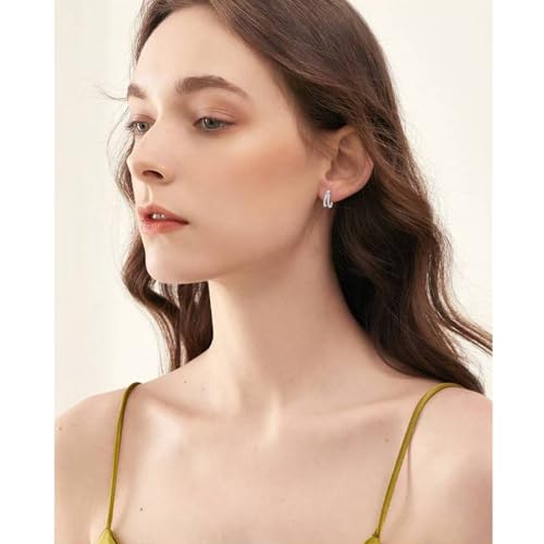 Small Double Hoop Huggie Earrings for Women, Trendy 14K Gold/Silver Plated Hypoallergenic Cubic Zirconia Small Hoop Earrings Jewelry2