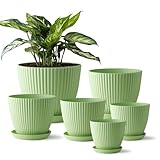 RooTrimmer 7.5/6.5/5.5/4.9/4.2/3.5 Inch Plant Pots with Saucers & Drain Holes - Indoor/Outdoor Flower Pots for Succulents, Herbs, Cactus - Modern Lightweight Durable Planter Set, Green