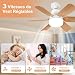 Imagen de VHV - Ventilador de techo con luz, 51 cm