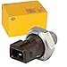 Price comparison product image HELLA 6ZL 009 600-271 Oil Pressure Switch - 1-pin connector - Housing Colour: Brown