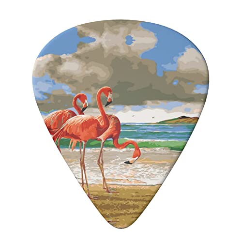 Flamingo Beach Lot de 6 médiators pour guitare acoustique, guitare électrique, basse, ukulélé – fin, moyen et épais - Les Beatles, Paul McCartney, John Lennon, RIngo Starr, George Harrison Flamingo Beach Lot de 6 médiators pour guitare acoustique, guitare électrique, basse, ukulélé – fin, moyen et épais – Image 4