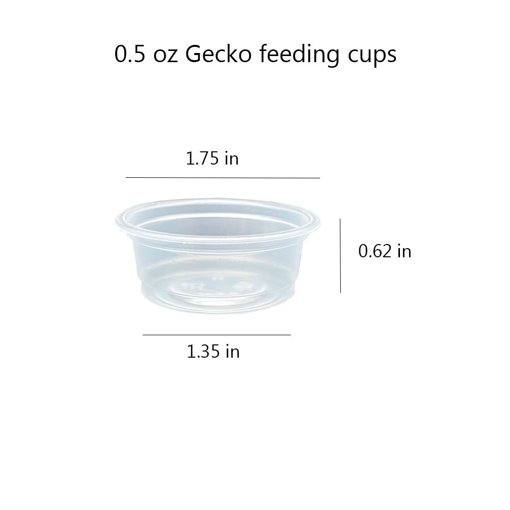 Kleine Gecko-Futter- und Wasserbecher, Kunststoff, Reptilien-Futternäpfe, Zubehör für Gecko, Eidechsen, kleine Haustiere, 14 ml, 100 Stück