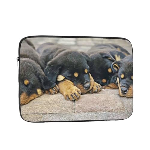 Ή bgC[ Ă錢 12 Inch PcP[X Pc[Jo ϏՌH m[gpc P[X rWlX 