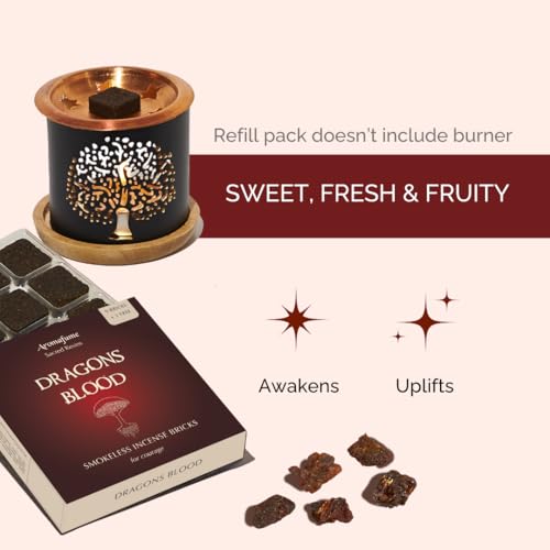 Image of Aromafume Dragons Blood Incense Bricks (3 Trays x 9 Pieces Each) | Ideal for Positive Vibe Generation, clearing Negative Energy, Purification, Relaxation, Healing & Rituals | Refill Pack