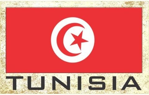 Flag Fridge Refrigerator Magnets - Asia & Africa GRP 4 (3-Pack, Country: UAE) image 4