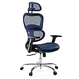 Ergonomic Office Chair, High Back Mesh Office Chair with 3D Armrests and Headrest, Adjustable Rollin